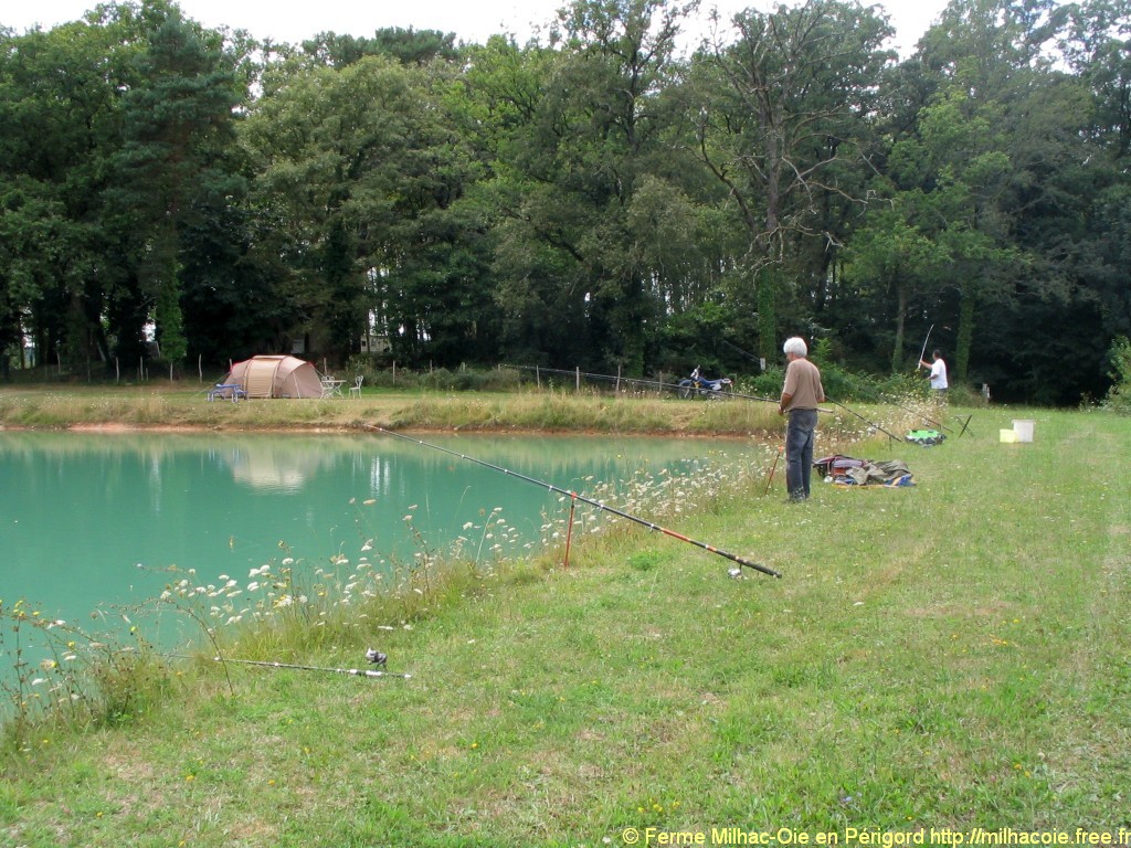 etang_de_peche_4234.jpg